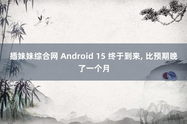 插妹妹综合网 Android 15 终于到来, 比预期晚了一个月