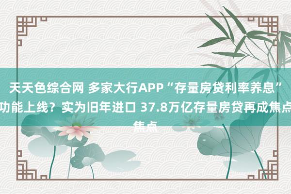 天天色综合网 多家大行APP“存量房贷利率养息”功能上线？实为旧年进口 37.8万亿存量房贷再成焦点