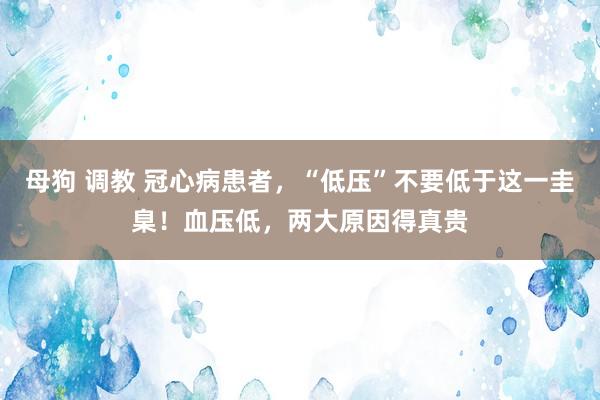 母狗 调教 冠心病患者，“低压”不要低于这一圭臬！血压低，两大原因得真贵