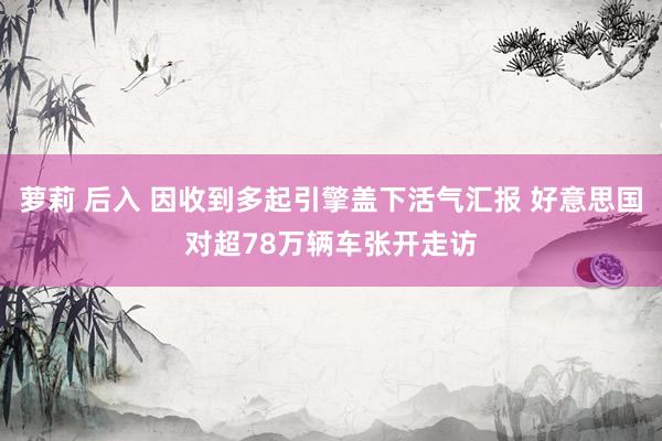 萝莉 后入 因收到多起引擎盖下活气汇报 好意思国对超78万辆车张开走访