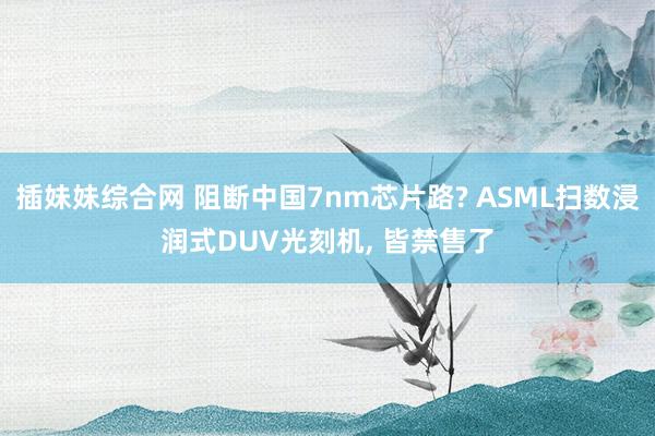 插妹妹综合网 阻断中国7nm芯片路? ASML扫数浸润式DUV光刻机, 皆禁售了