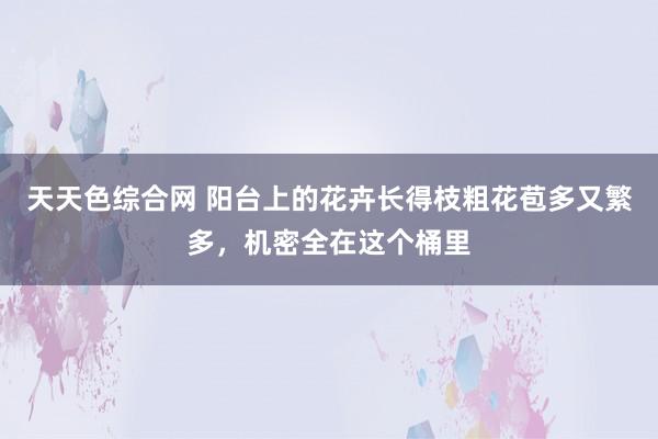 天天色综合网 阳台上的花卉长得枝粗花苞多又繁多，机密全在这个桶里