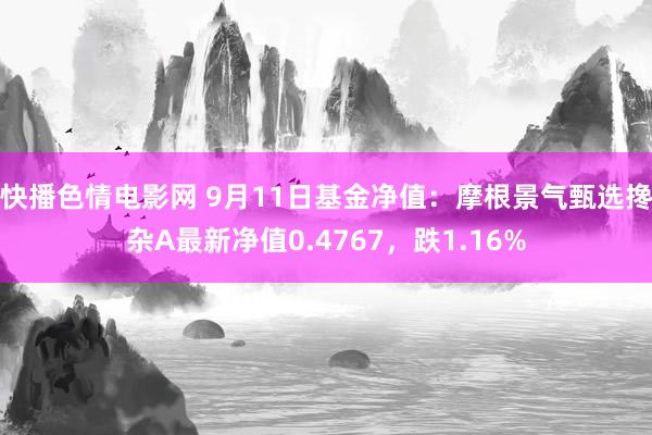 快播色情电影网 9月11日基金净值：摩根景气甄选搀杂A最新净值0.4767，跌1.16%