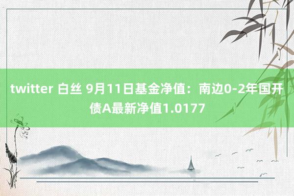 twitter 白丝 9月11日基金净值：南边0-2年国开债A最新净值1.0177