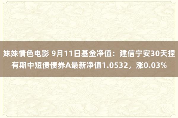 妹妹情色电影 9月11日基金净值：建信宁安30天捏有期中短债债券A最新净值1.0532，涨0.03%