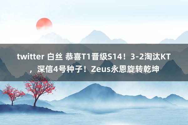 twitter 白丝 恭喜T1晋级S14！3-2淘汰KT，深信4号种子！Zeus永恩旋转乾坤