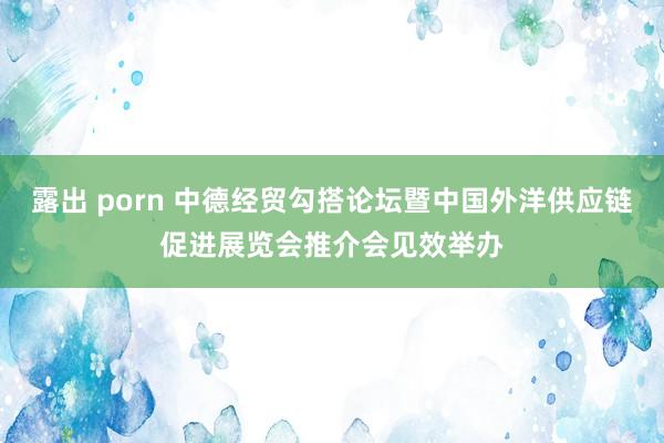 露出 porn 中德经贸勾搭论坛暨中国外洋供应链促进展览会推介会见效举办