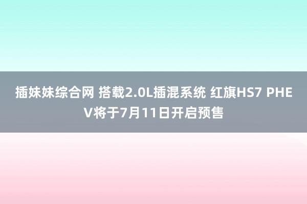 插妹妹综合网 搭载2.0L插混系统 红旗HS7 PHEV将于7月11日开启预售