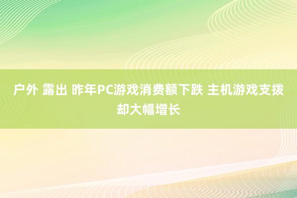 户外 露出 昨年PC游戏消费额下跌 主机游戏支拨却大幅增长