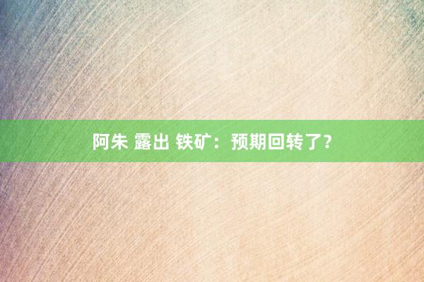 阿朱 露出 铁矿：预期回转了？