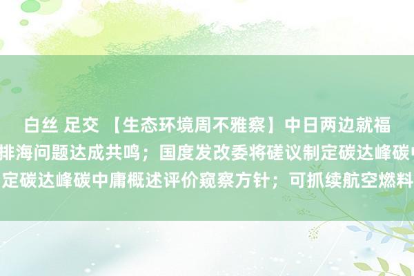 白丝 足交 【生态环境周不雅察】中日两边就福岛第一核电站核羞耻水排海问题达成共鸣；国度发改委将磋议制定碳达峰碳中庸概述评价窥察方针；可抓续航空燃料应用试点开动