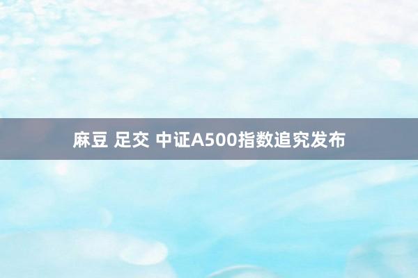 麻豆 足交 中证A500指数追究发布