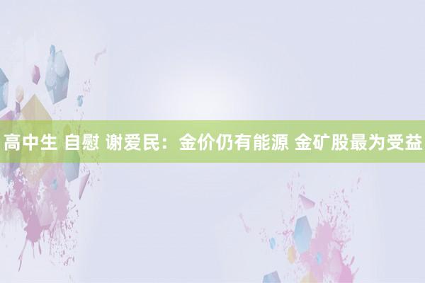 高中生 自慰 谢爱民：金价仍有能源 金矿股最为受益