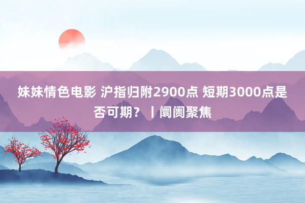 妹妹情色电影 沪指归附2900点 短期3000点是否可期？丨阛阓聚焦