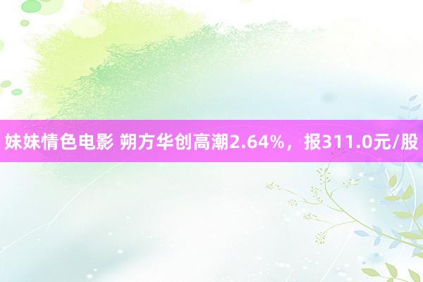 妹妹情色电影 朔方华创高潮2.64%，报311.0元/股