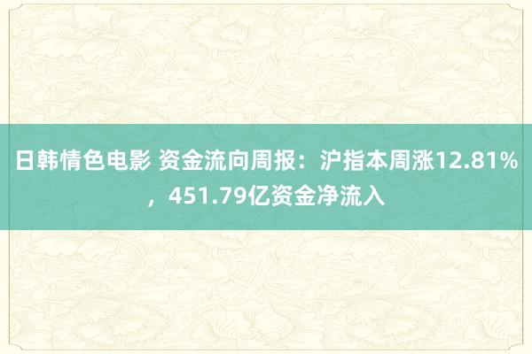 日韩情色电影 资金流向周报：沪指本周涨12.81%，451.79亿资金净流入