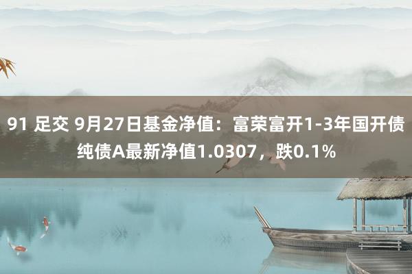 91 足交 9月27日基金净值：富荣富开1-3年国开债纯债A最新净值1.0307，跌0.1%