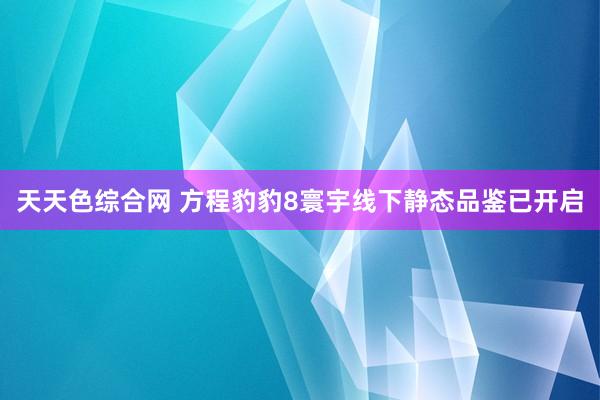 天天色综合网 方程豹豹8寰宇线下静态品鉴已开启