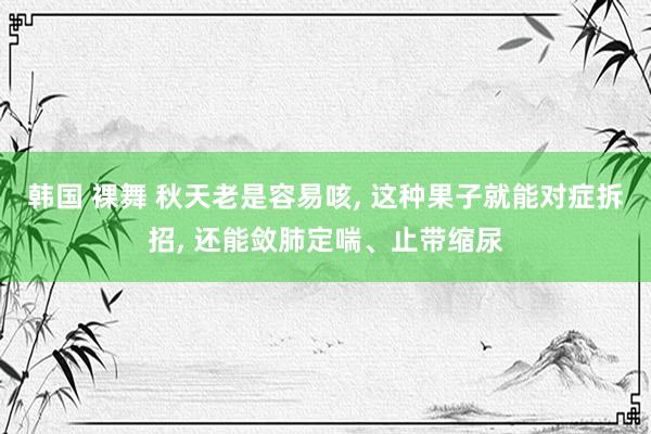 韩国 裸舞 秋天老是容易咳, 这种果子就能对症拆招, 还能敛肺定喘、止带缩尿