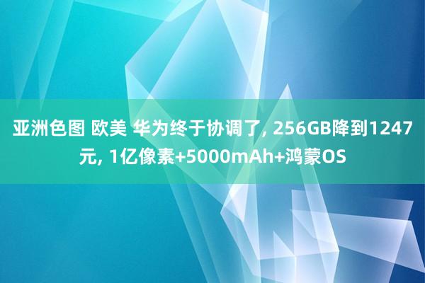 亚洲色图 欧美 华为终于协调了, 256GB降到1247元, 1亿像素+5000mAh+鸿蒙OS