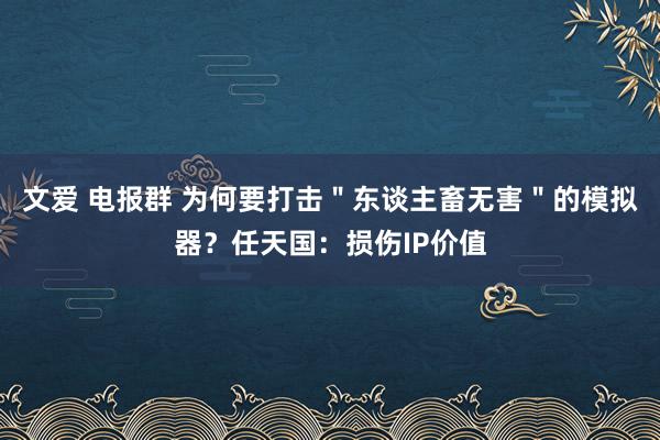 文爱 电报群 为何要打击＂东谈主畜无害＂的模拟器？任天国：损伤IP价值