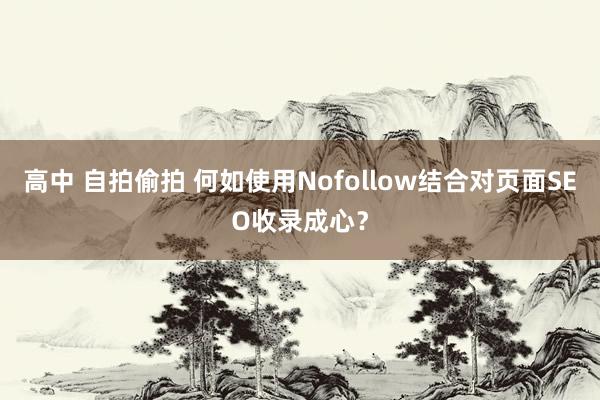 高中 自拍偷拍 何如使用Nofollow结合对页面SEO收录成心？