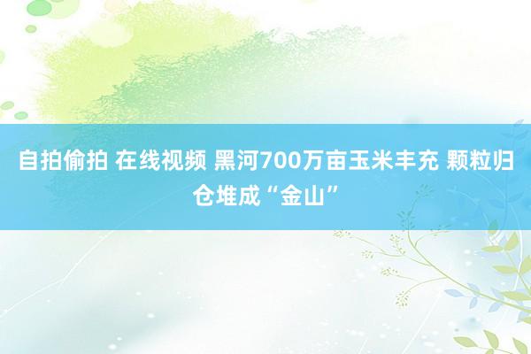 自拍偷拍 在线视频 黑河700万亩玉米丰充 颗粒归仓堆成“金山”