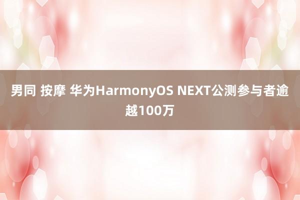 男同 按摩 华为HarmonyOS NEXT公测参与者逾越100万