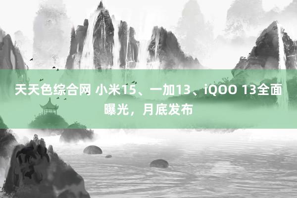 天天色综合网 小米15、一加13、iQOO 13全面曝光，月底发布