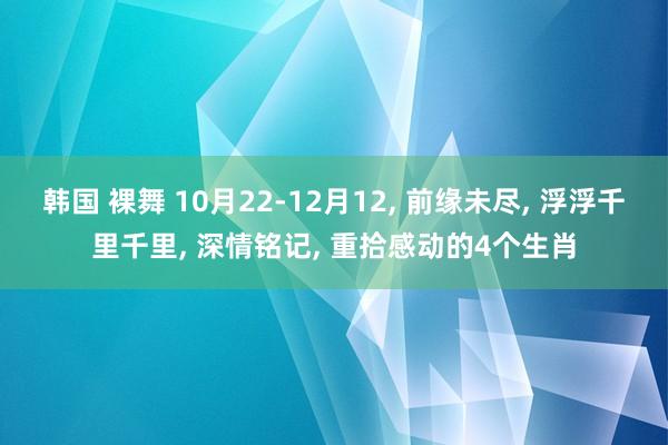 韩国 裸舞 10月22-12月12, 前缘未尽, 浮浮千里千里, 深情铭记, 重拾感动的4个生肖