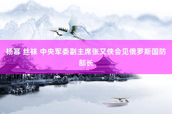 杨幂 丝袜 中央军委副主席张又侠会见俄罗斯国防部长