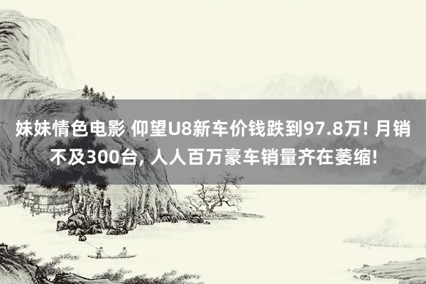 妹妹情色电影 仰望U8新车价钱跌到97.8万! 月销不及300台, 人人百万豪车销量齐在萎缩!