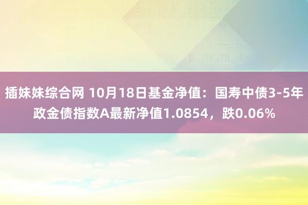 插妹妹综合网 10月18日基金净值：国寿中债3-5年政金债指数A最新净值1.0854，跌0.06%