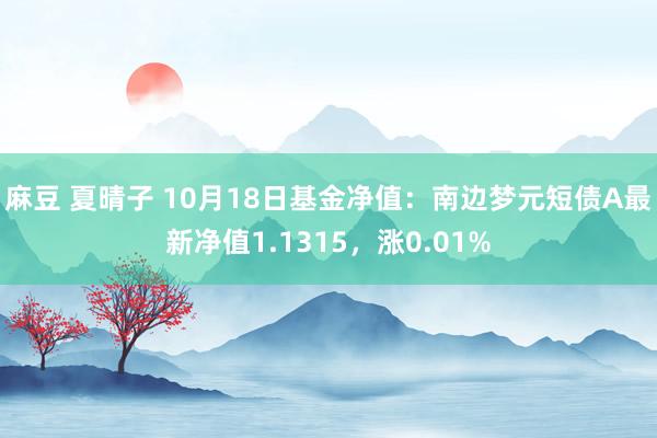 麻豆 夏晴子 10月18日基金净值：南边梦元短债A最新净值1.1315，涨0.01%