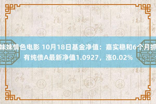 妹妹情色电影 10月18日基金净值：嘉实稳和6个月抓有纯债A最新净值1.0927，涨0.02%