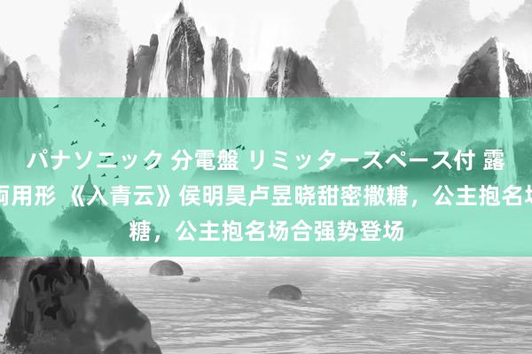 パナソニック 分電盤 リミッタースペース付 露出・半埋込両用形 《入青云》侯明昊卢昱晓甜密撒糖，公主抱名场合强势登场