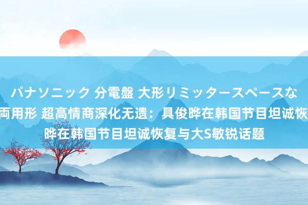 パナソニック 分電盤 大形リミッタースペースなし 露出・半埋込両用形 超高情商深化无遗：具俊晔在韩国节目坦诚恢复与大S敏锐话题