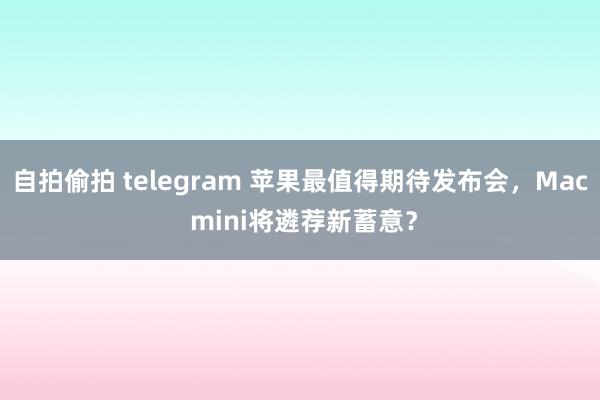 自拍偷拍 telegram 苹果最值得期待发布会，Mac mini将遴荐新蓄意？