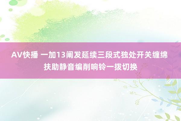 AV快播 一加13阐发延续三段式独处开关缠绵 扶助静音编削响铃一拨切换