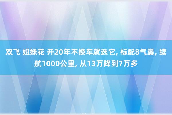 双飞 姐妹花 开20年不换车就选它, 标配8气囊, 续航1000公里, 从13万降到7万多