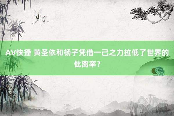 AV快播 黄圣依和杨子凭借一己之力拉低了世界的仳离率？