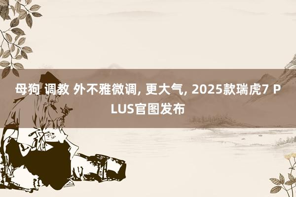 母狗 调教 外不雅微调, 更大气, 2025款瑞虎7 PLUS官图发布