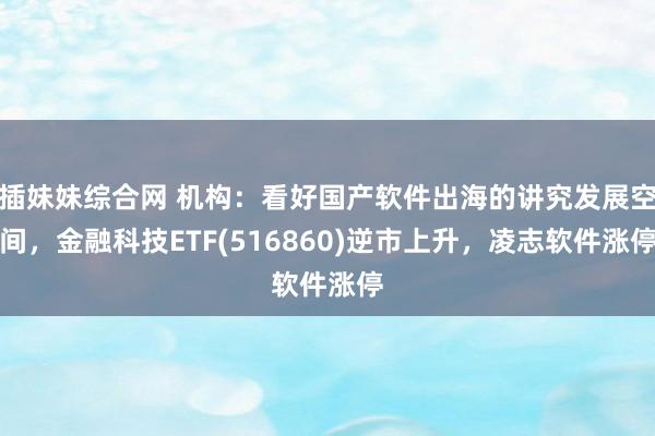 插妹妹综合网 机构：看好国产软件出海的讲究发展空间，金融科技ETF(516860)逆市上升，凌志软件涨停