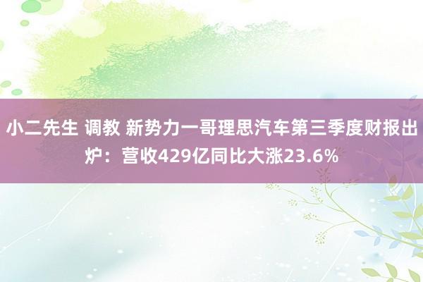 小二先生 调教 新势力一哥理思汽车第三季度财报出炉：营收429亿同比大涨23.6%