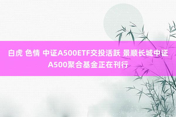 白虎 色情 中证A500ETF交投活跃 景顺长城中证A500聚合基金正在刊行