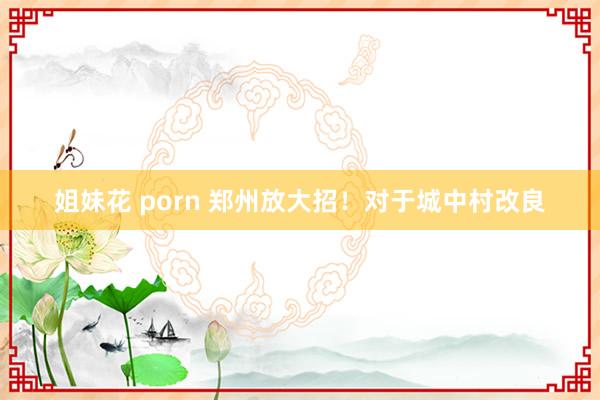 姐妹花 porn 郑州放大招！对于城中村改良