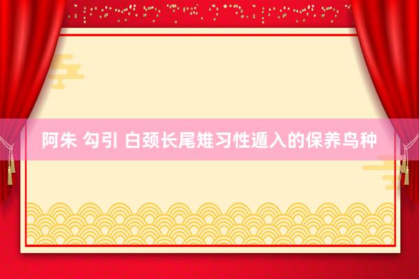 阿朱 勾引 白颈长尾雉习性遁入的保养鸟种