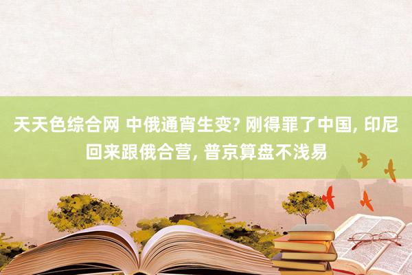 天天色综合网 中俄通宵生变? 刚得罪了中国, 印尼回来跟俄合营, 普京算盘不浅易