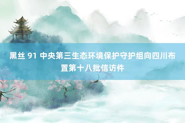 黑丝 91 中央第三生态环境保护守护组向四川布置第十八批信访件