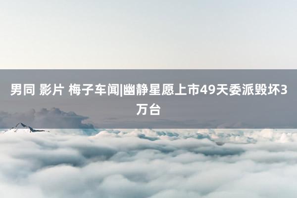 男同 影片 梅子车闻|幽静星愿上市49天委派毁坏3万台